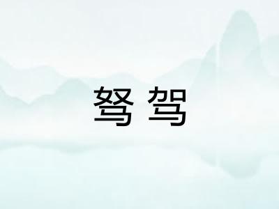 驽驾
