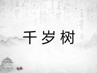 千岁树