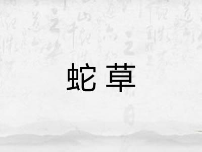 蛇草