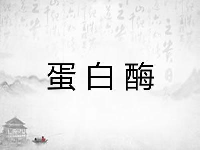 蛋白酶