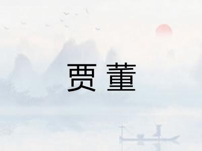 贾董