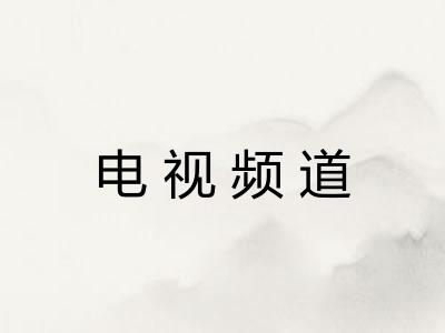 电视频道