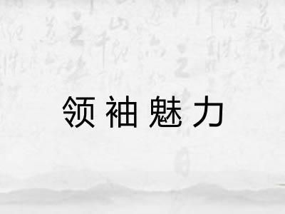 领袖魅力