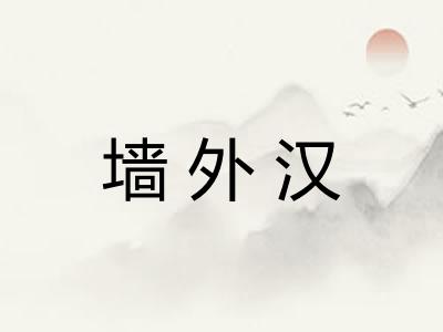 墙外汉