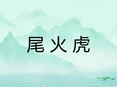 尾火虎