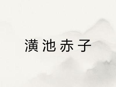 潢池赤子