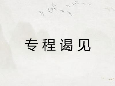 专程谒见