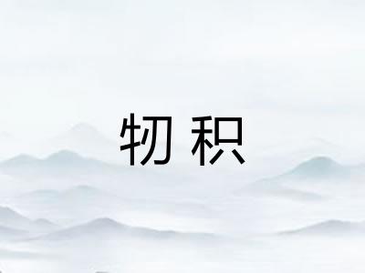 牣积