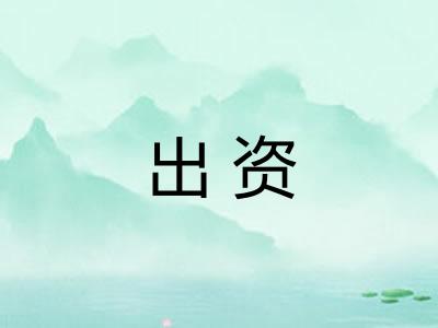 出资