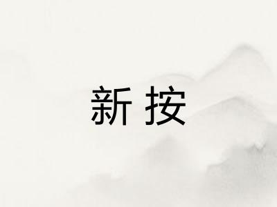 新按