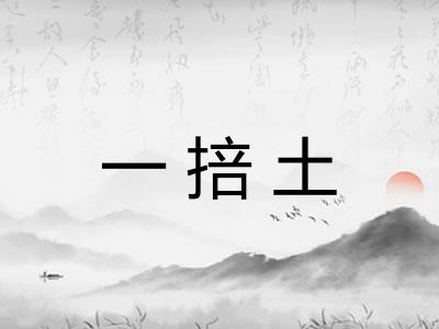 一掊土