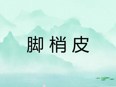 脚梢皮