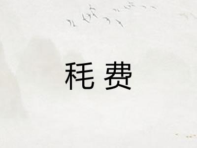 秏费