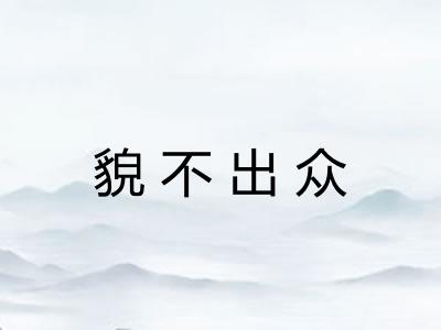 貌不出众