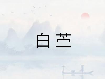 白苎