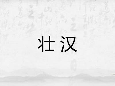 壮汉
