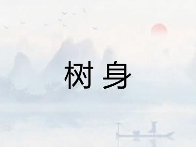 树身