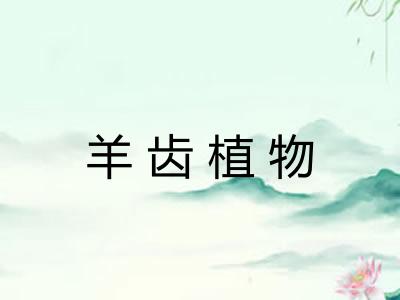 羊齿植物