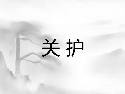 关护