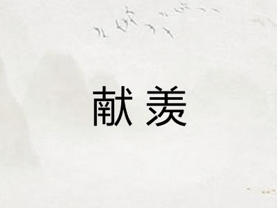 献羡