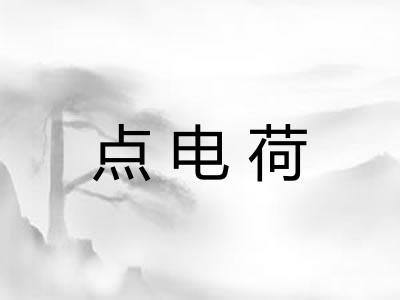 点电荷