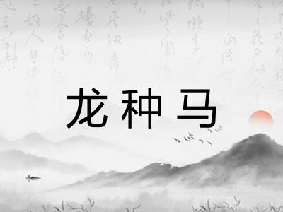 龙种马