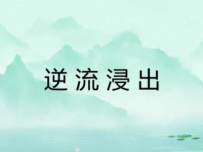 逆流浸出