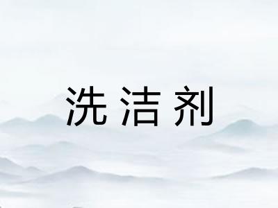 洗洁剂