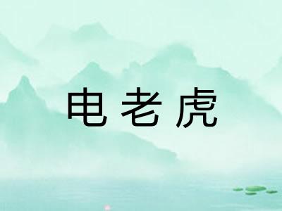 电老虎