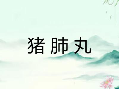 猪肺丸