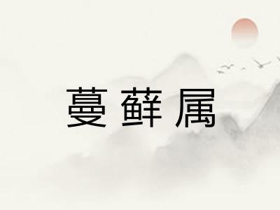 蔓藓属