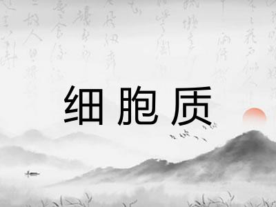 细胞质