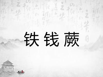 铁钱蕨