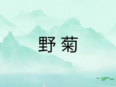野菊