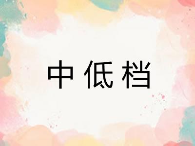 中低档