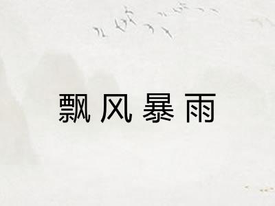 飘风暴雨