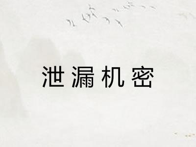 泄漏机密 泄漏机密