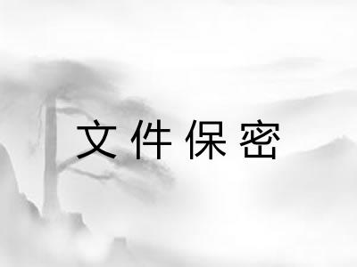 文件保密