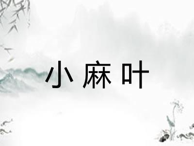 小麻叶