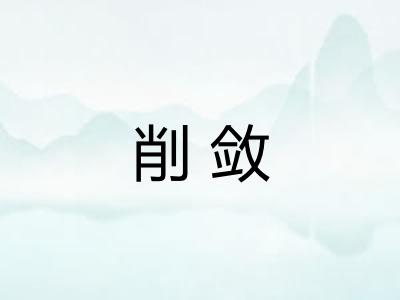 削敛