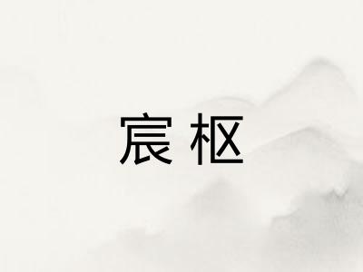 宸枢
