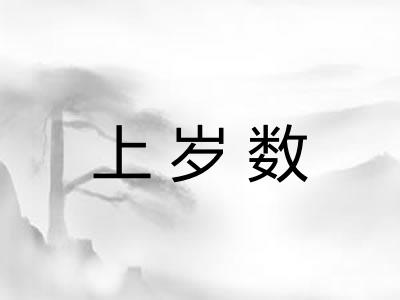 上岁数