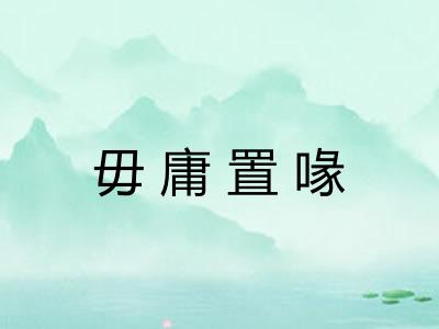 毋庸置喙
