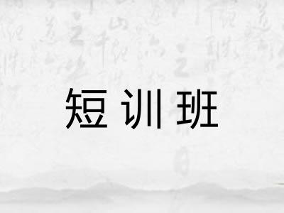 短训班