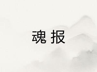 魂报