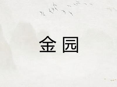 金园