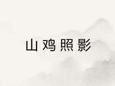 山鸡照影
