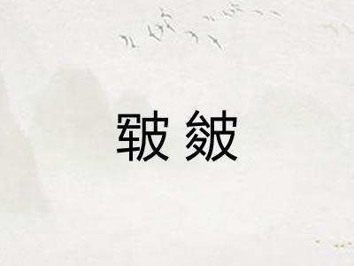 皲皴