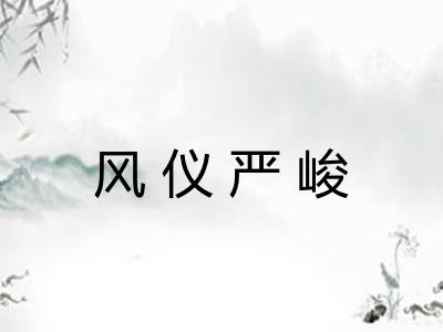 风仪严峻