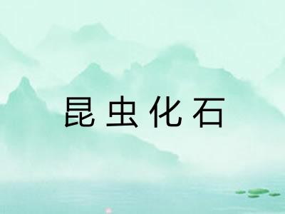 昆虫化石